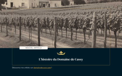 L’histoire du Domaine de Cussy