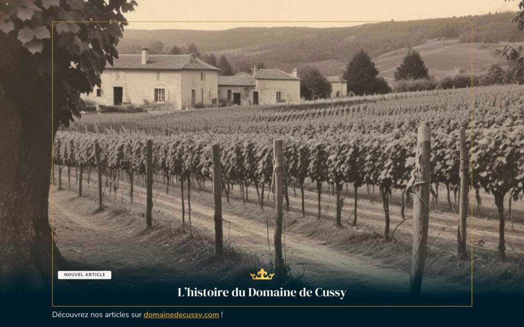 L’histoire du Domaine de Cussy